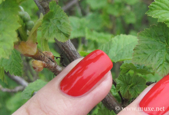 Zoya Maura red nail polish